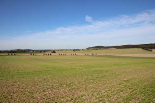 östlich von Degersen, Blick auf Stemmer Berg und Gehrdener Berg