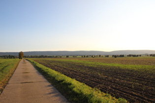 … Blick nach Südwesten zum Deister mit Bröhn und Höfeler …