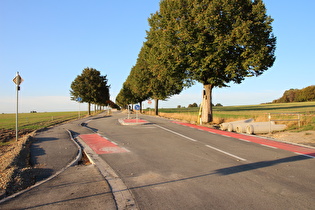 gesperrte Straße am Nordrand von Everloh, Blick nach Norden