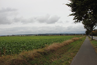 zwischen Stadtoldendorf und Deensen, Blick zum Solling, …