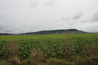 … Blick zum Holzberg, …