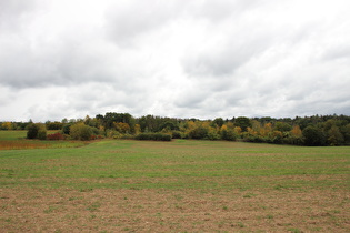 zwischen Arholsen und Lobach, Blick zum Solling, …