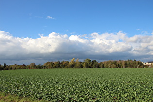 zwischen Hannover und Velber, Blick zum Heisterberg, …