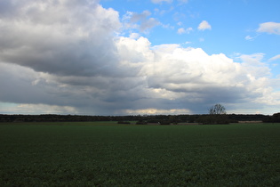 zwischen Velber und Lenthe, Blick zum Velberholz