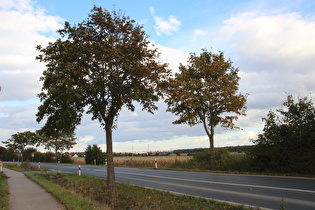 bei Meiers Mühle, Blick auf Hannover