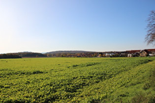 zwischen Hannover und Velber, Blick zum Benther Berg