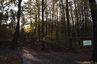 Benther Berg, Nordhang, erster Anstieg der Tour