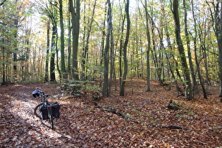 erster Sattelpunkt der Tour auf dem Benther Berg