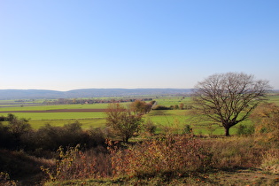 Gehrdener Berg, oberhalb der Mergelkuhle, Blick zum Deister …