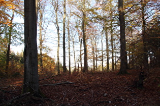 östlich oberhalb des Bruchbachs, Blick nach Nordosten