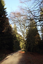 unterhalb der Hirschköpfe, Blick bergab