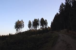 unterhalb Müllers Höh, Blick Richtung Müllers Höh …