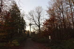 Kammweg zwischen Laube und Bröhn, Blick zum Annaturm