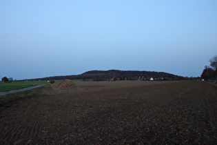 östlich von Ditterke, Blick auf Everloh und Benther Berg