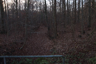 die trocken gefallene Kirchwehrener Landwehr, Blick flussabwärts …