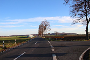 südlich vom Großen Holz, Blick auf Northen und den Benther Berg