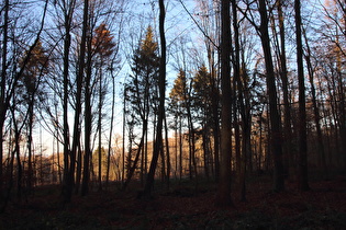 weiter oben, Blick nach Nordwesten