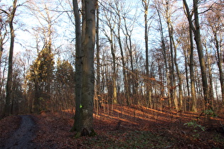 Kammweg am oberen Ende der Nordflanke
