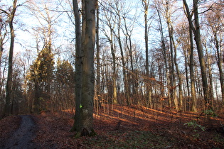 Kammweg am oberen Ende der Nordflanke