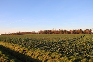 … und Blick zum Heisterberg