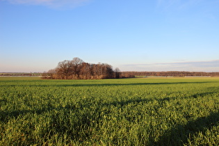 zwischen Velber und Lenthe, Blick Richtung Meiers Mühle