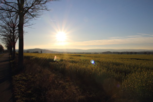 … und Blick auf Gehrdener Berg und Deister