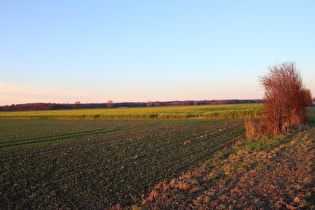 … und Blick zum Großen Holz