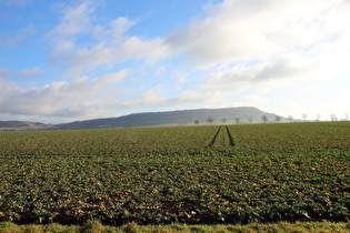 … Blick zum Holzberg, …