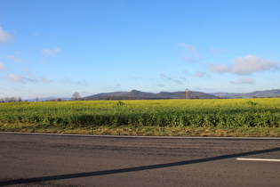 … und Blick auf Köterberg Burgberg und Rühler Schweiz