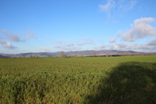 in Arholsen, Blick zum Vogler