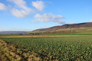 zwischen Arholsen und Lobach, Blick auf Lobach und den Burgberg …