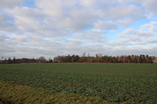 … und Blick zum Heisterberg