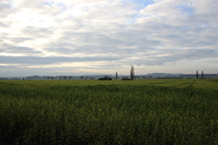 zwischen Lenthe und Northen, Blick zum Stemmer Berg