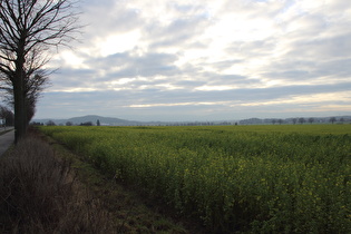 zwischen Northen und Everloh, Blick auf Gehrdener Berg und Deister …