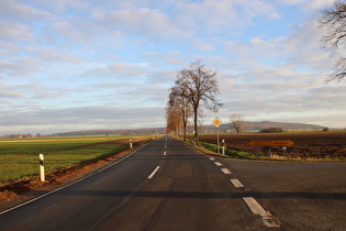 zwischen Ditterke und Großem Holz, Blick zum Benther Berg