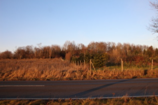 Kollrotshöhe, Ostrampe, Blick zum Heisterberg