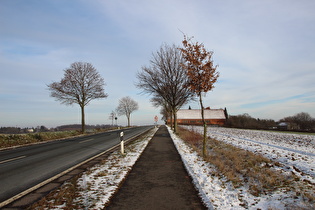 Kollrotshöhe, Westrampe, Blick nach Osten auf Kollrotshöhe, …