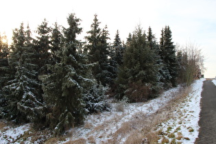 Kollrotshöhe, Ostrampe, Blick nach Südwesten