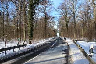 Brücke über die Kirchwehrener Landwehr im Großen Holz