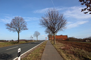 Kollrotshöhe, Westrampe, Blick nach Osten …