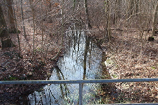 die Kirchwehrener Landwehr im Großen Holz, Blick flussabwärts …