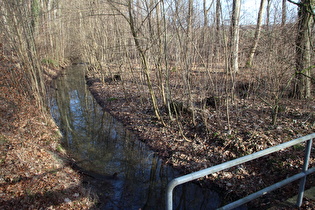 … und Blick flussaufwärts