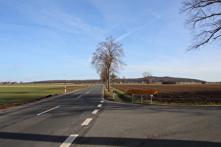 zwischen Northen und Großem Holz, Blick zum Benther Berg