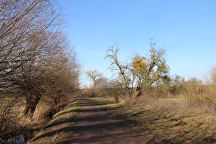 Maschwiesen zwischen Hannover und Letter