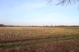 zwischen Kananohe und Kaltenweide, Blick nach Norden