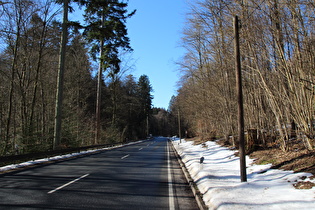 Roter Fuchs, Ostrampe, Blick bergauf