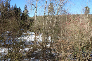 … und Blick zum Grünenplaner Wasser