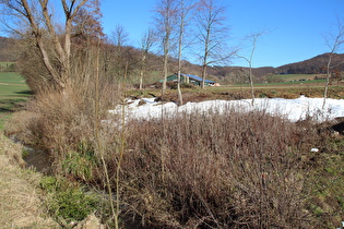 der Ruthebach in Holzen, Blick flussaufwärts …