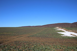 zwischen Holzen und Scharfoldendorf, Blick zum Ith