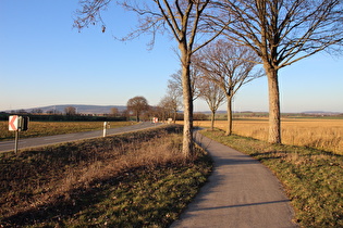 … und Blick zum Osterwald